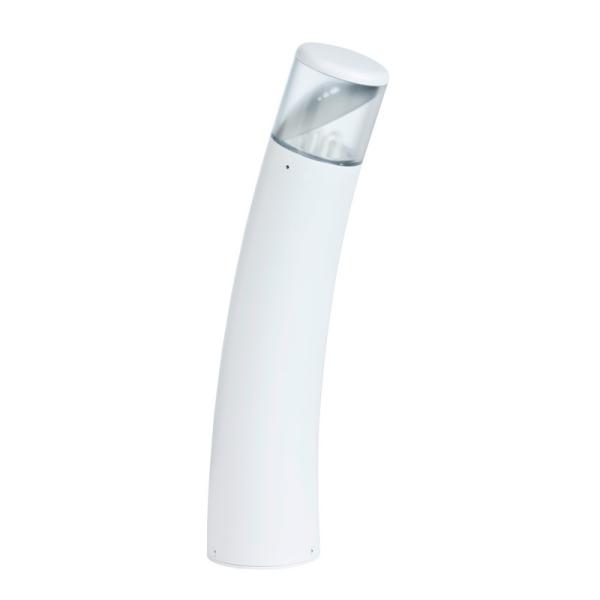Bambou 498 - Roger Pradier
