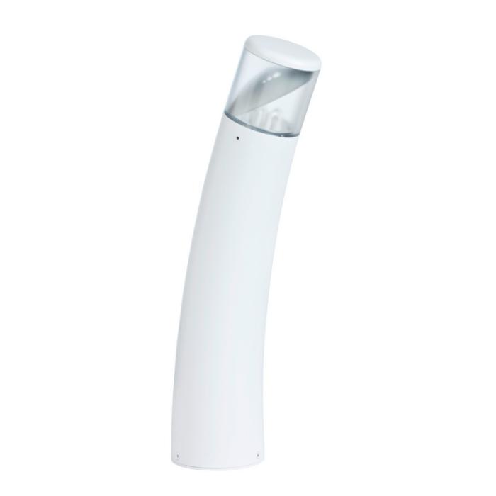 Bambou 498 - Roger Pradier